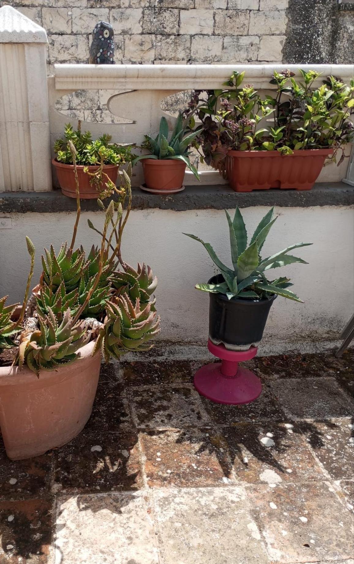 Tappa A Bitonto Apartment Bagian luar foto